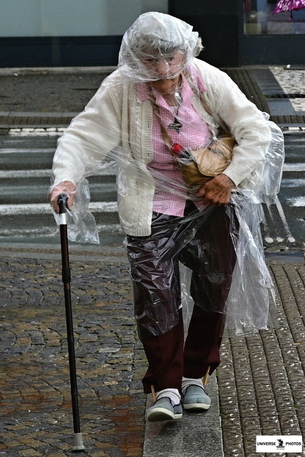 DSC_1810